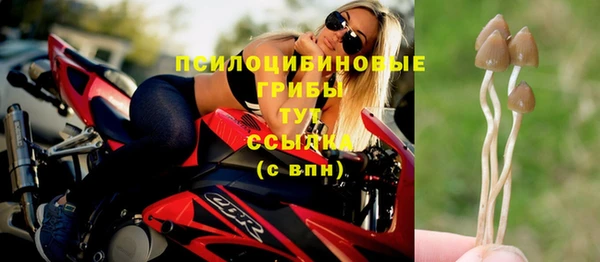 соль ск Медногорск