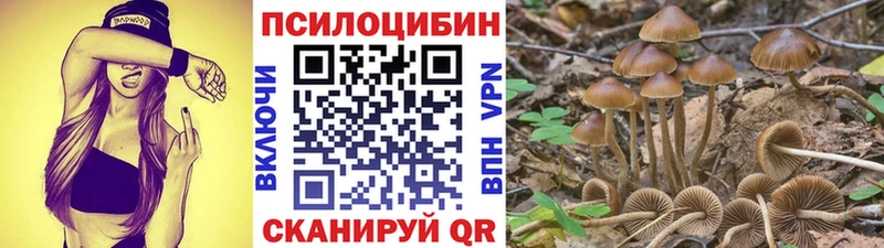 Купить закладки  Ржев  Галлюциногенные грибы MAGIC MUSHROOMS 