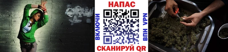 Каннабис MAZAR  Купить где  Ржев 